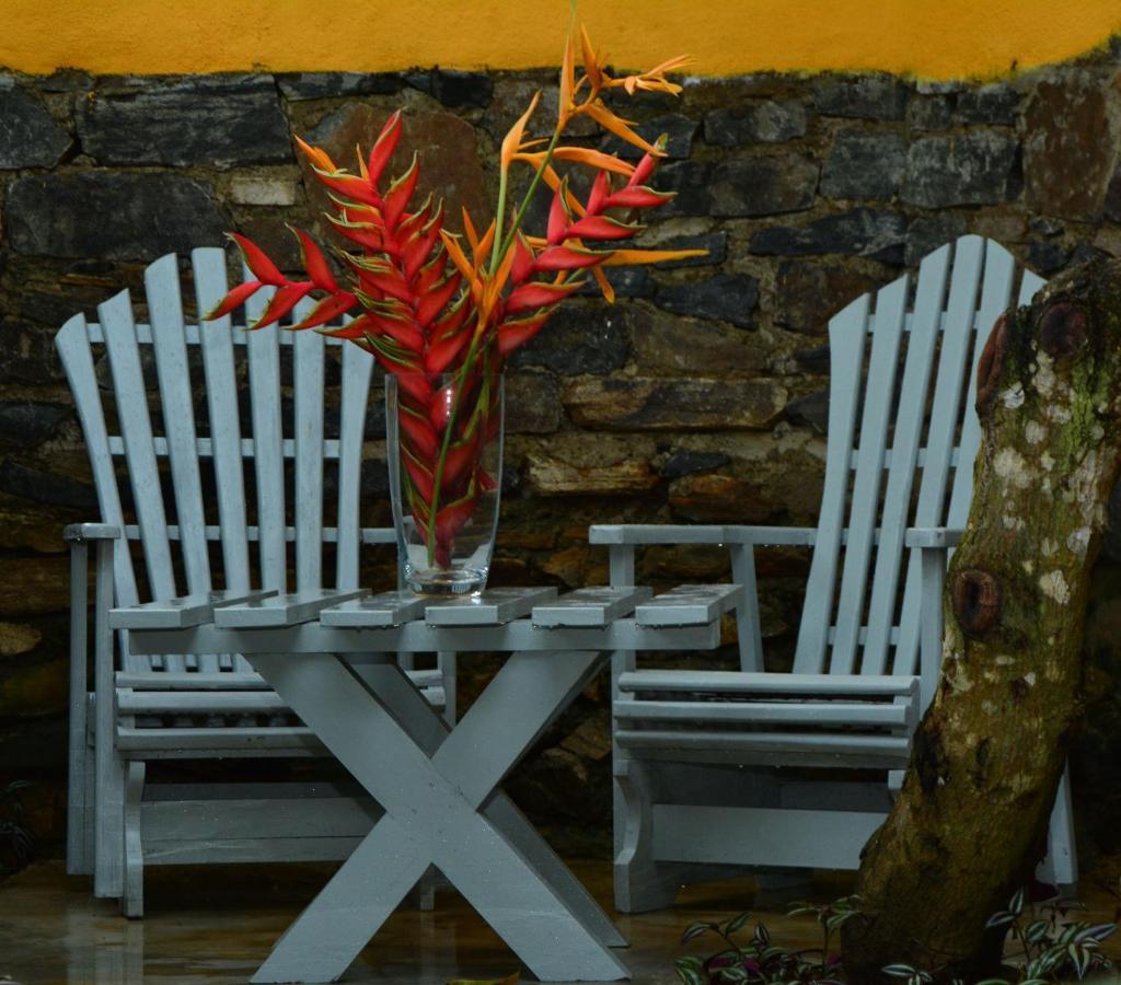 View Guesthouse & Bistro At Goyambokka Tangalle Exterior foto