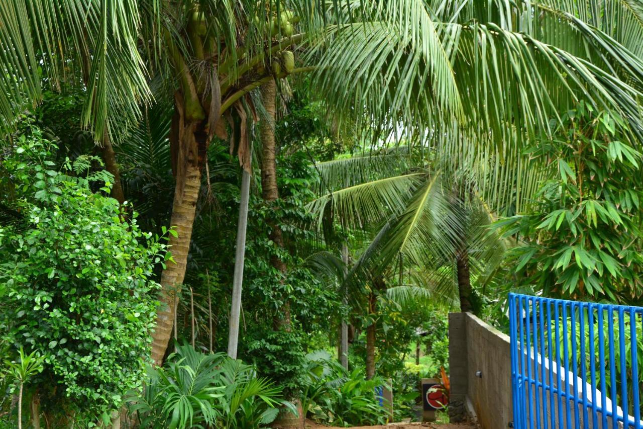 View Guesthouse & Bistro At Goyambokka Tangalle Exterior foto