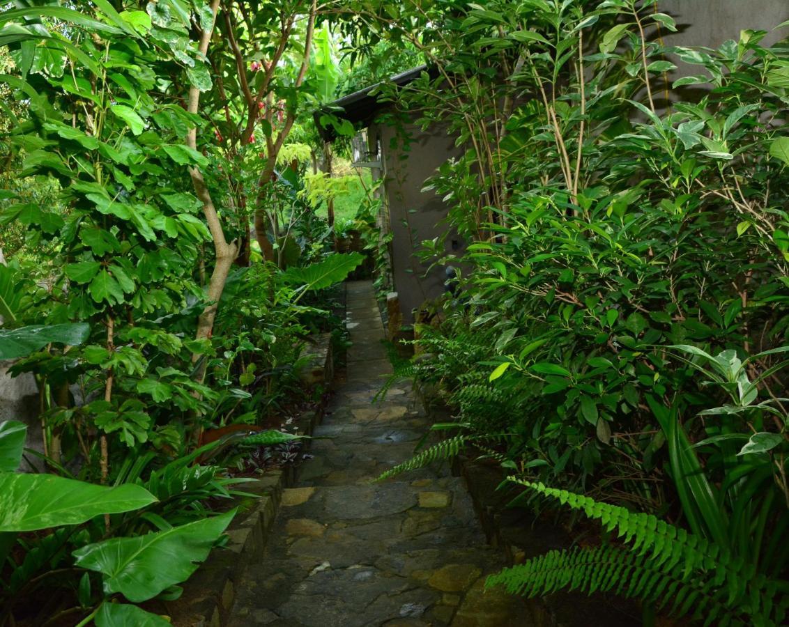 View Guesthouse & Bistro At Goyambokka Tangalle Exterior foto