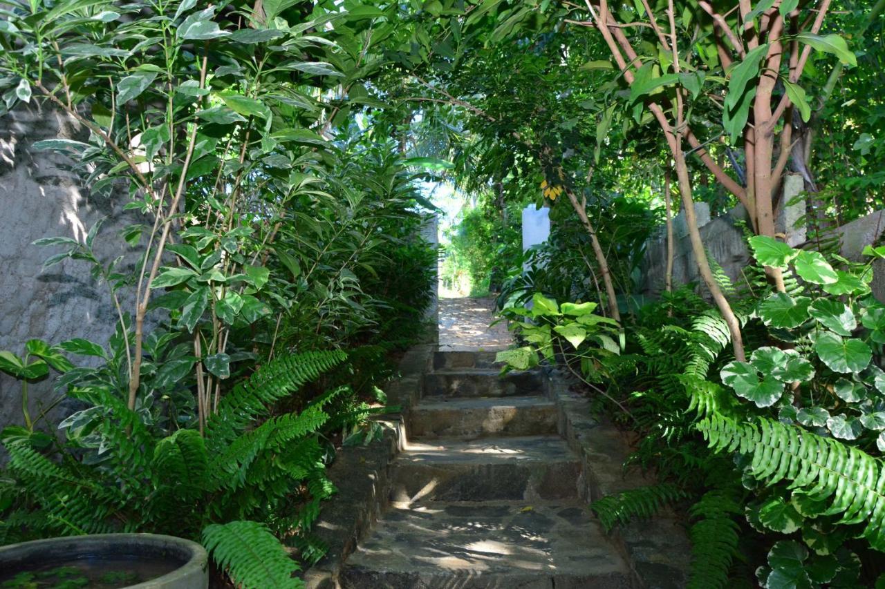 View Guesthouse & Bistro At Goyambokka Tangalle Exterior foto