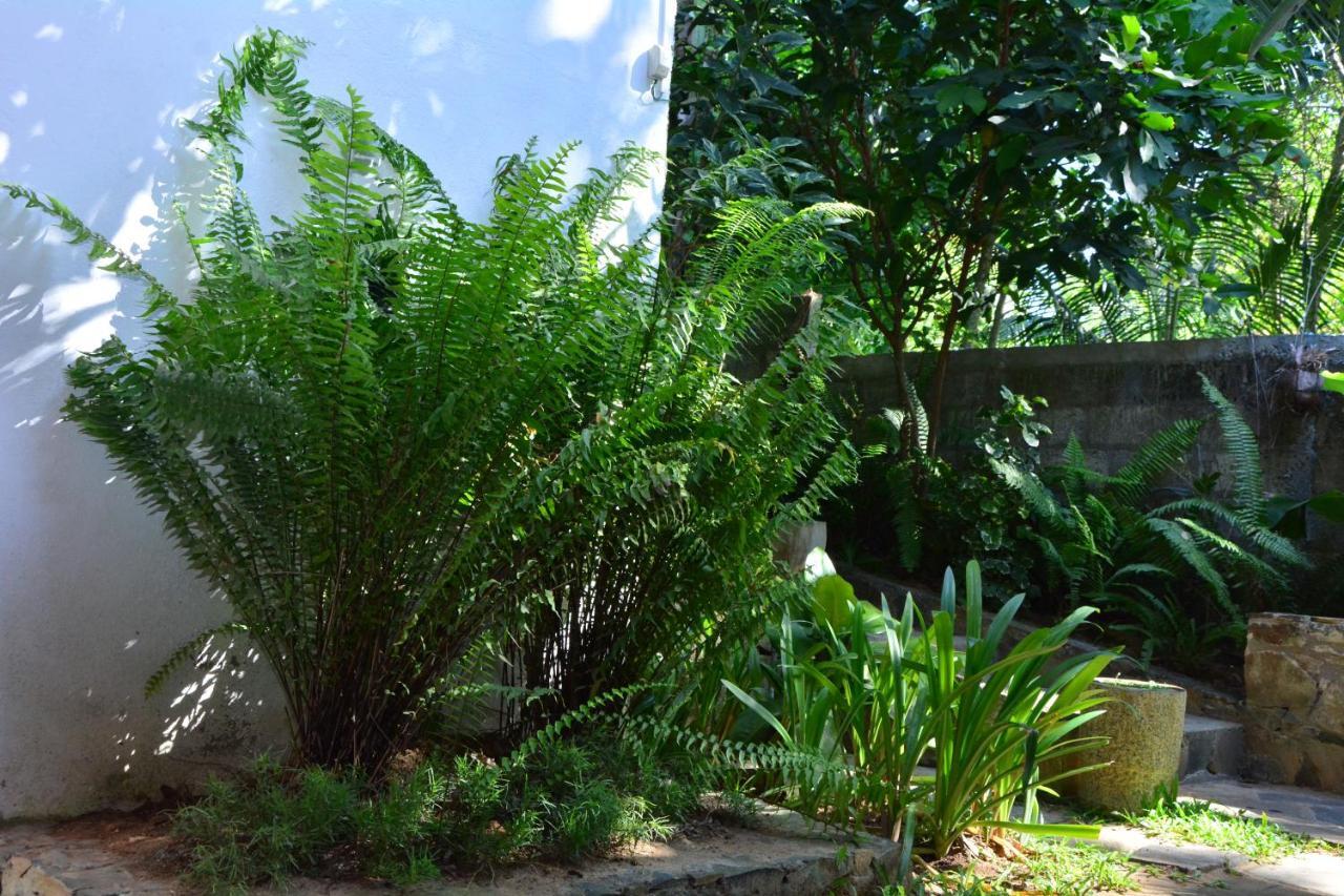 View Guesthouse & Bistro At Goyambokka Tangalle Exterior foto